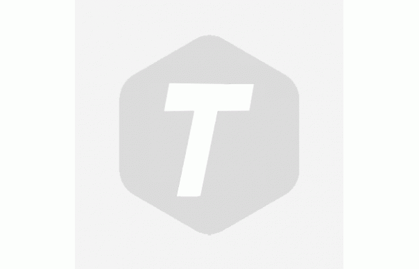 ジェフコム（株）  GL-1420RS  デンサン　シルバーグラスライン　２００ｍ