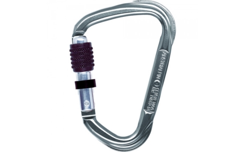 ＡＵＳＴＲＩＡＬＰＩＮ社  KW11A  ＡＬＰＩＮ　カラビナ　２８００　ＥＶＯ　スクリューロック　線径１４．０　シルバー