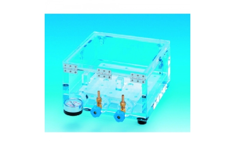 アズワン（株）  7-216-01  ＡＳ　オクタゴン回転子１５ｍｍ×６．５