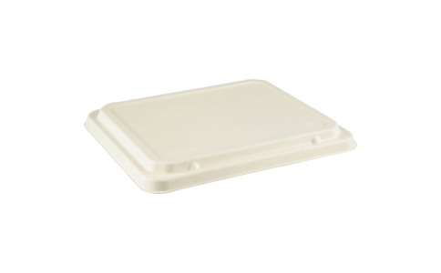 （株）折兼  653875  パックスタイル　ＷＢ弁当　２４－２０Ｆ　共蓋