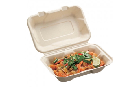 （株）折兼  605988  パックスタイル　ＢＢランチ２２０－１５０