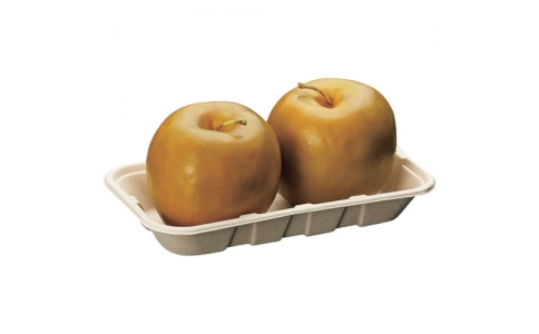 （株）折兼  605989  パックスタイル　ＢＢフルーツトレ－２１０－１２０