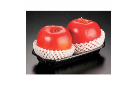 （株）折兼  588964  パックスタイル　ＢＰフルーツ２Ｍ浅マド　黒