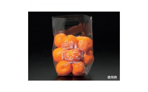 （株）折兼  506562  パックスタイル　ＰＳスタンドバッグ　Ｎｏ．２Ｂ大