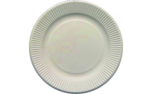 東京硝子器械（株）  347-22-40-02  ＴＧＫ　紙皿スタンダードホワイト　５号　１００枚入