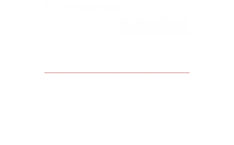 中発販売（株）  3M3-A0081  Ｒｅｅｌｅｘ　バリアリールＭＡＸ　交換用ベルト　赤