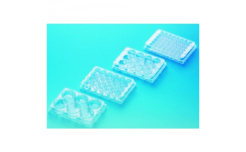 東京硝子器械（株）  725-28-03-12  ＴＧＫ　マルチウェルプレート　２４ウェル１　５０包