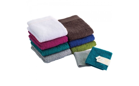 （株）グリーンクロス  6300029603  グリーンクロス　本多タオル　プレミアム　グレー　Ｂ／Ｔ８８０