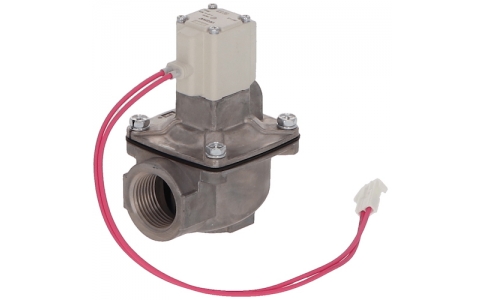 アマノ（株）  PIU301100  アマノ　ダイヤフラム弁（２００Ｖ）　ＰＩＵ３０１１０