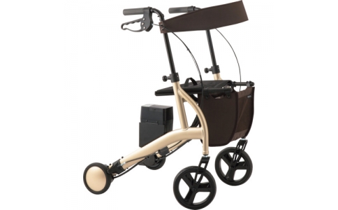 （株）竹虎  118204  竹虎　ＲＴ２－０２ＣＧトール（シャンパンゴールド）