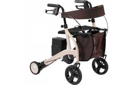 （株）竹虎  118201  竹虎　ＲＴ２－０１ＣＧ（シャンパンゴールド）