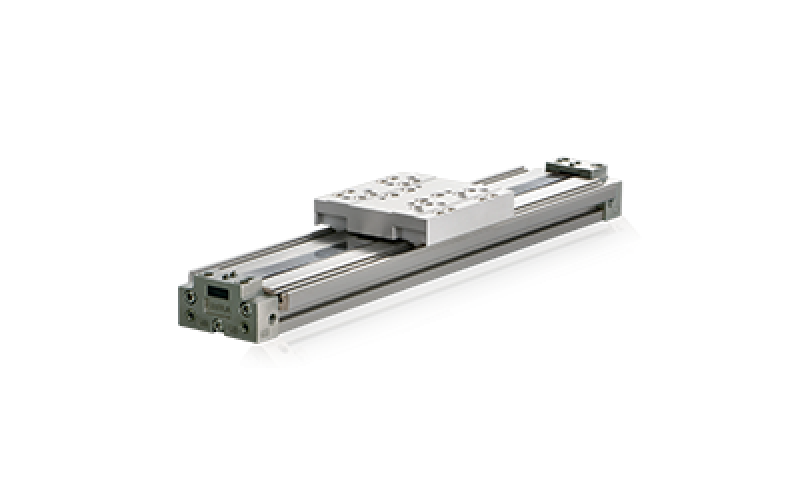 CHELIC PREP-Mechanically Joint Rodless Cylinder (POM slider type)